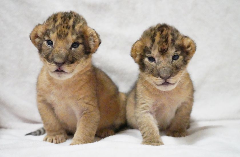 Gallery and Movie メインイメージ