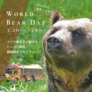 記事「【世界クマの日】ジャングルバス特別ツアー！（3月20日〜29日）」の画像