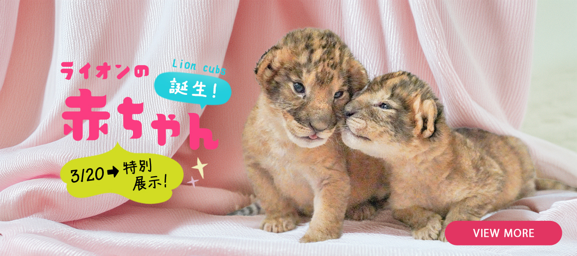 メインイメージ