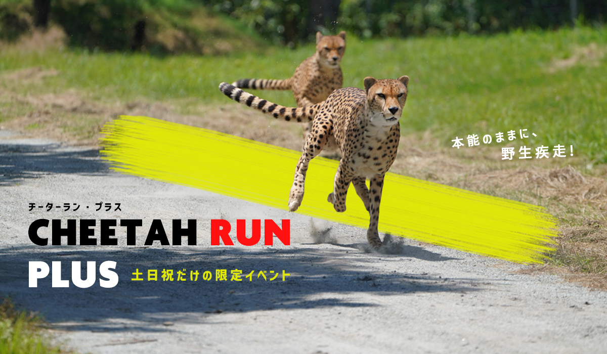 メインイメージ
