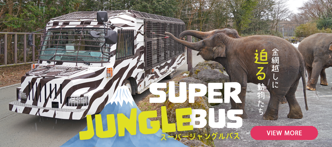 メインイメージ