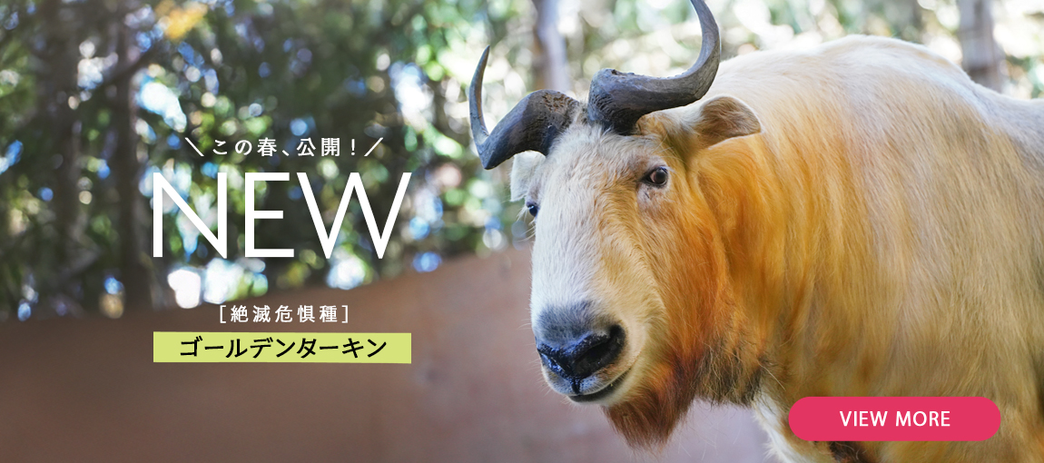 メインイメージ