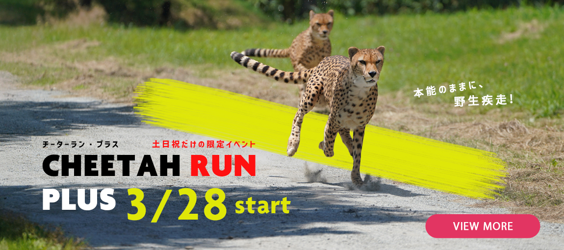 メインイメージ