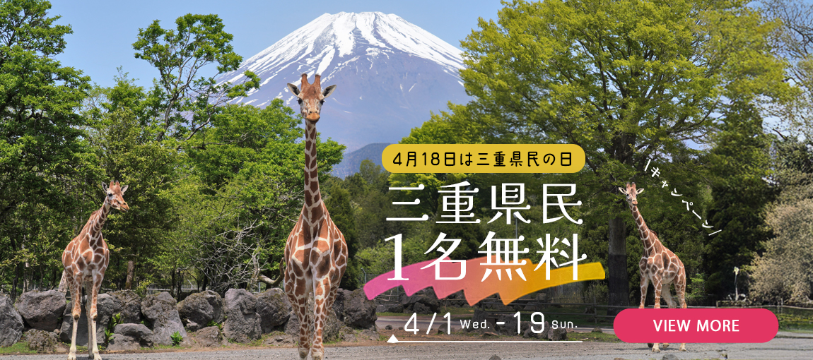 メインイメージ