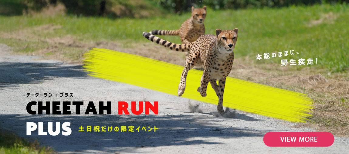 メインイメージ