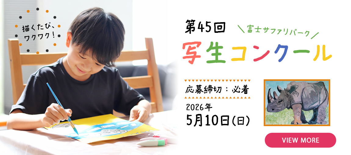 メインイメージ