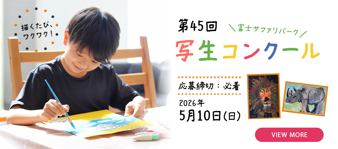 メインイメージ