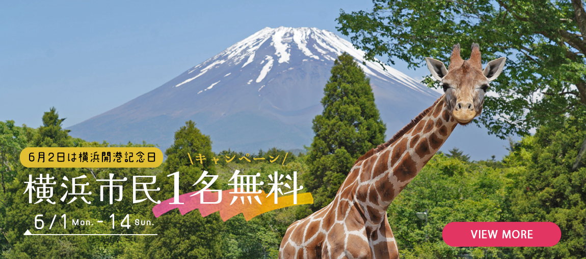 メインイメージ