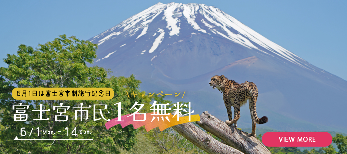 メインイメージ