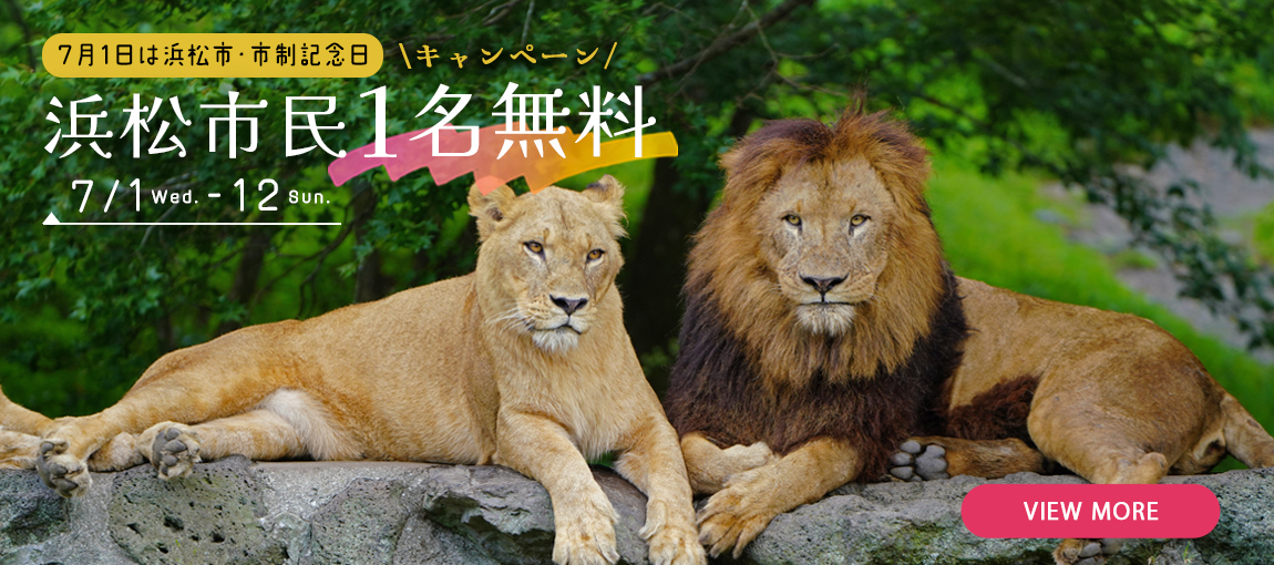 メインイメージ