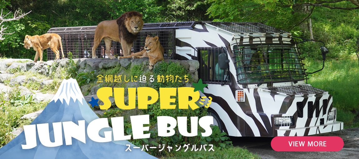 メインイメージ