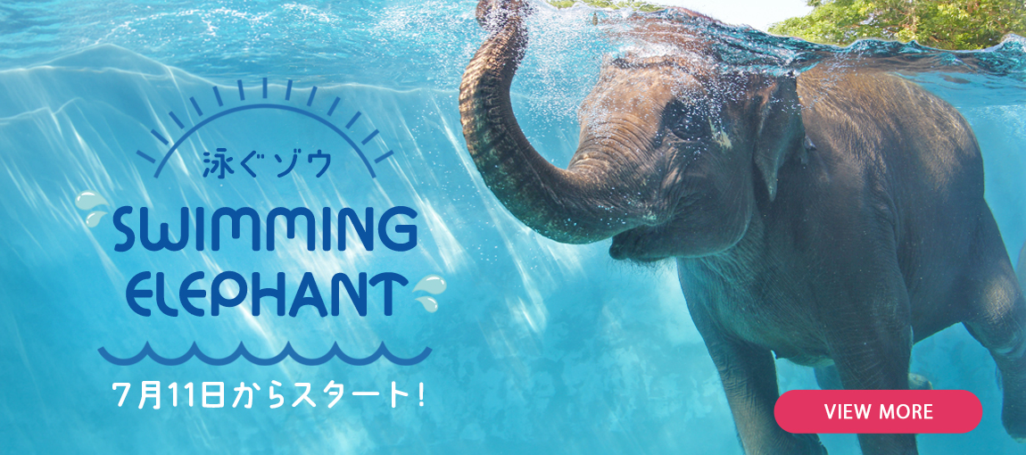 メインイメージ