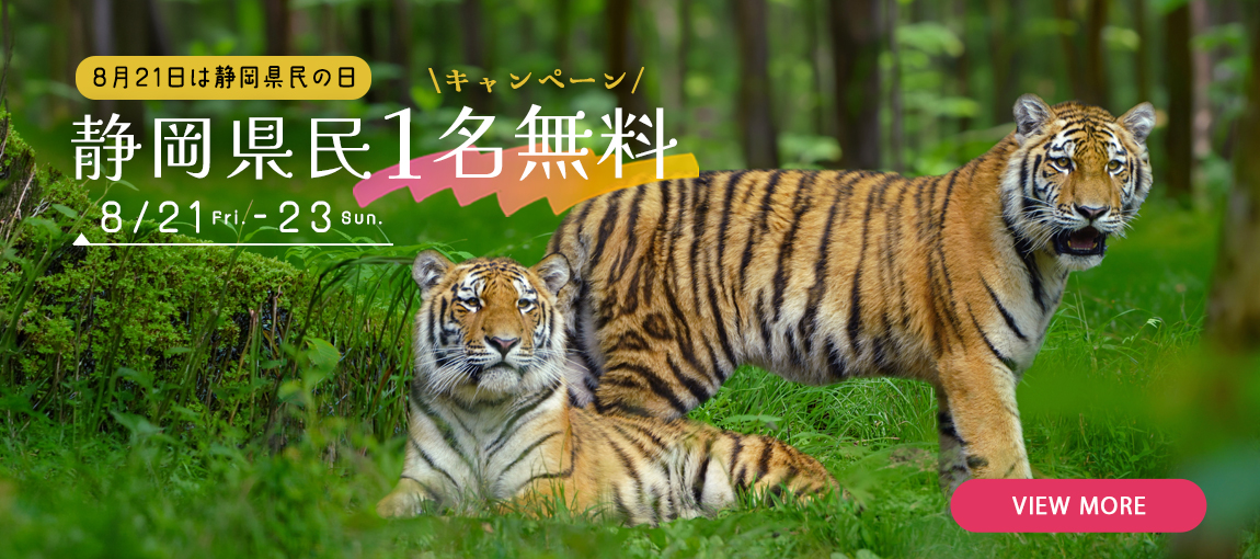 メインイメージ