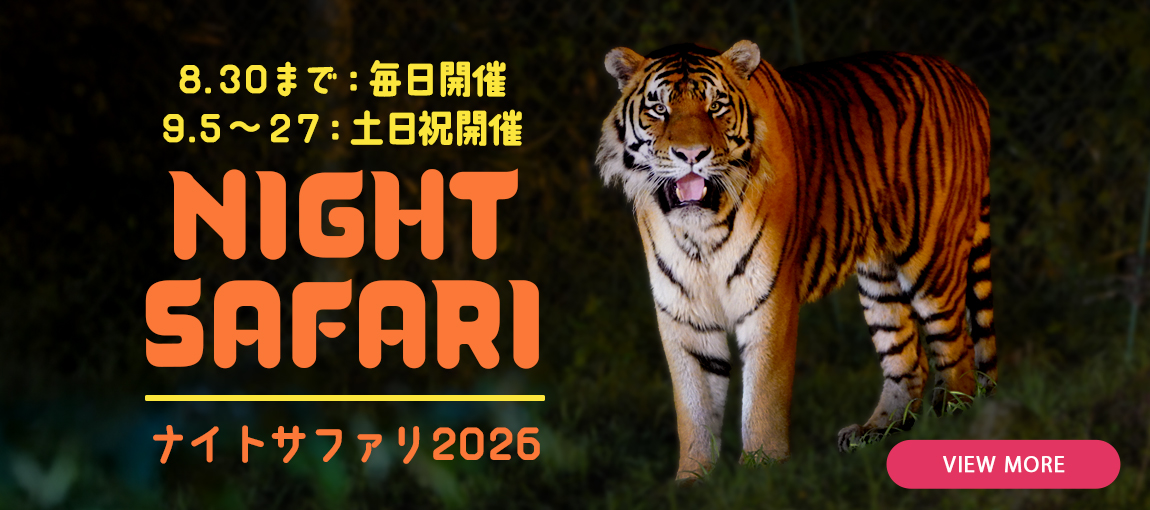 メインイメージ