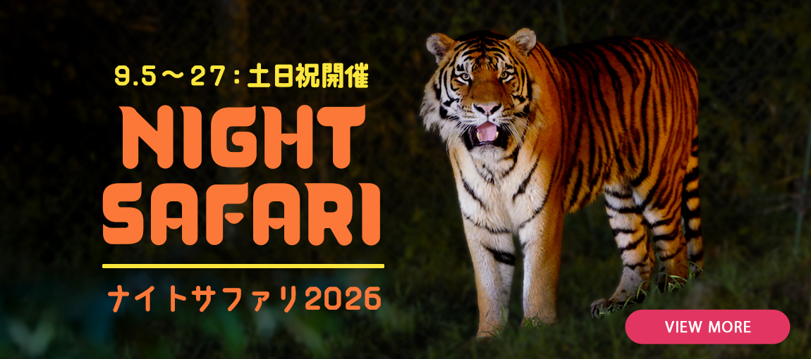 メインイメージ