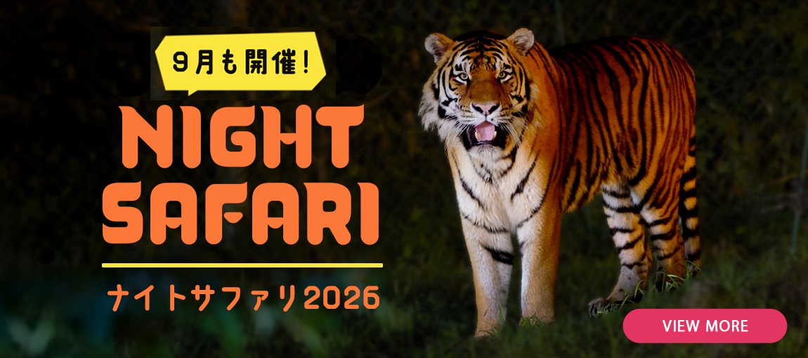 メインイメージ