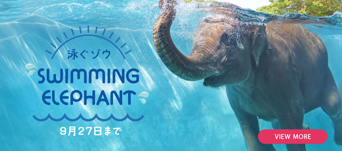 メインイメージ