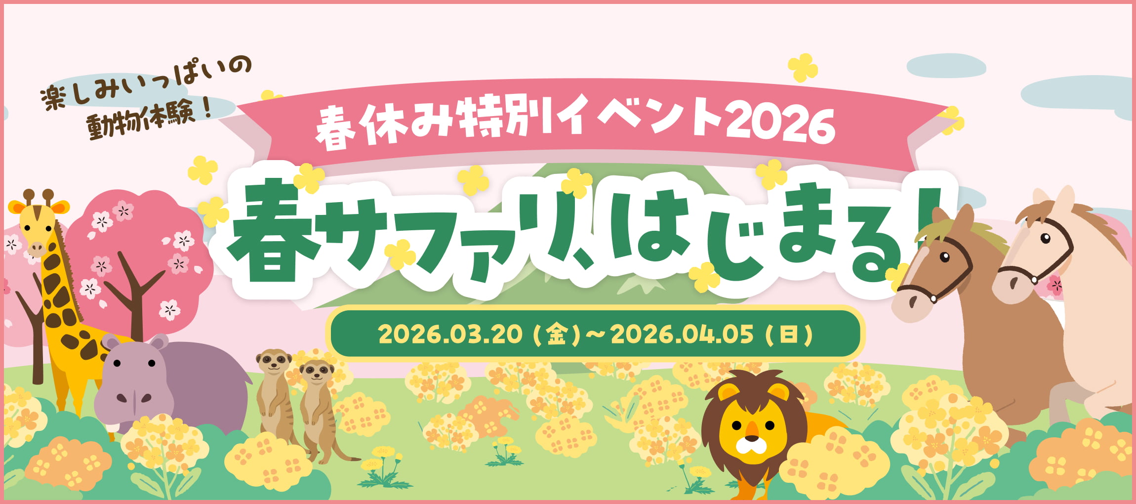 メインイメージ