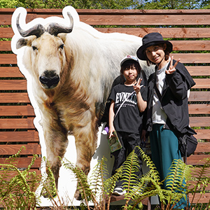 記事「ゴールデンターキン生態紹介、等身大パネル（4月29日～5月6日）」の画像