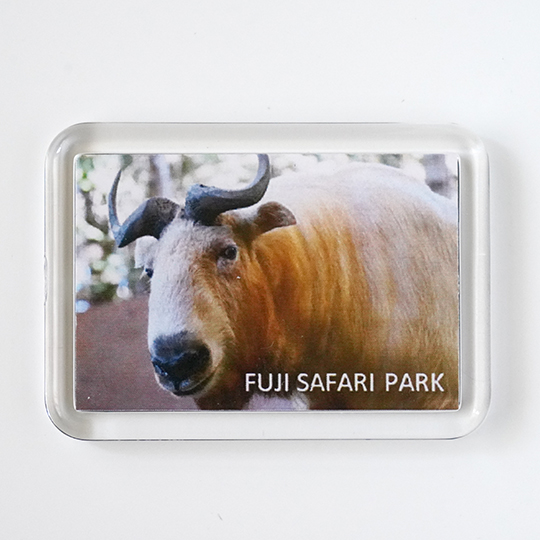 オリジナルアクリルマグネット（ゴールデンターキン）