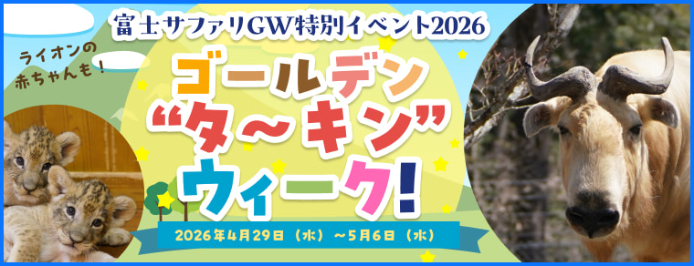 春休み特別イベント2026 ゴールデン“ターキン”ウィーク 2026年4.29日（水）～5月6日（水）