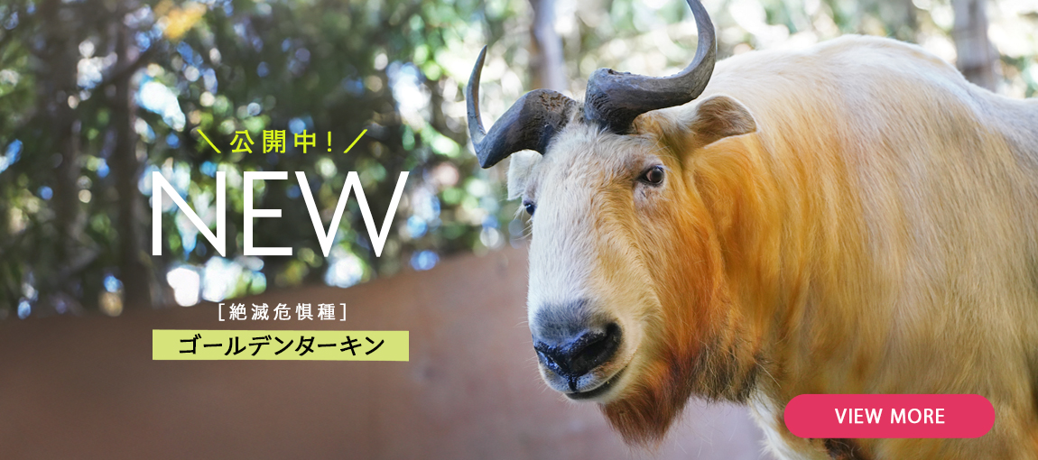 メインイメージ