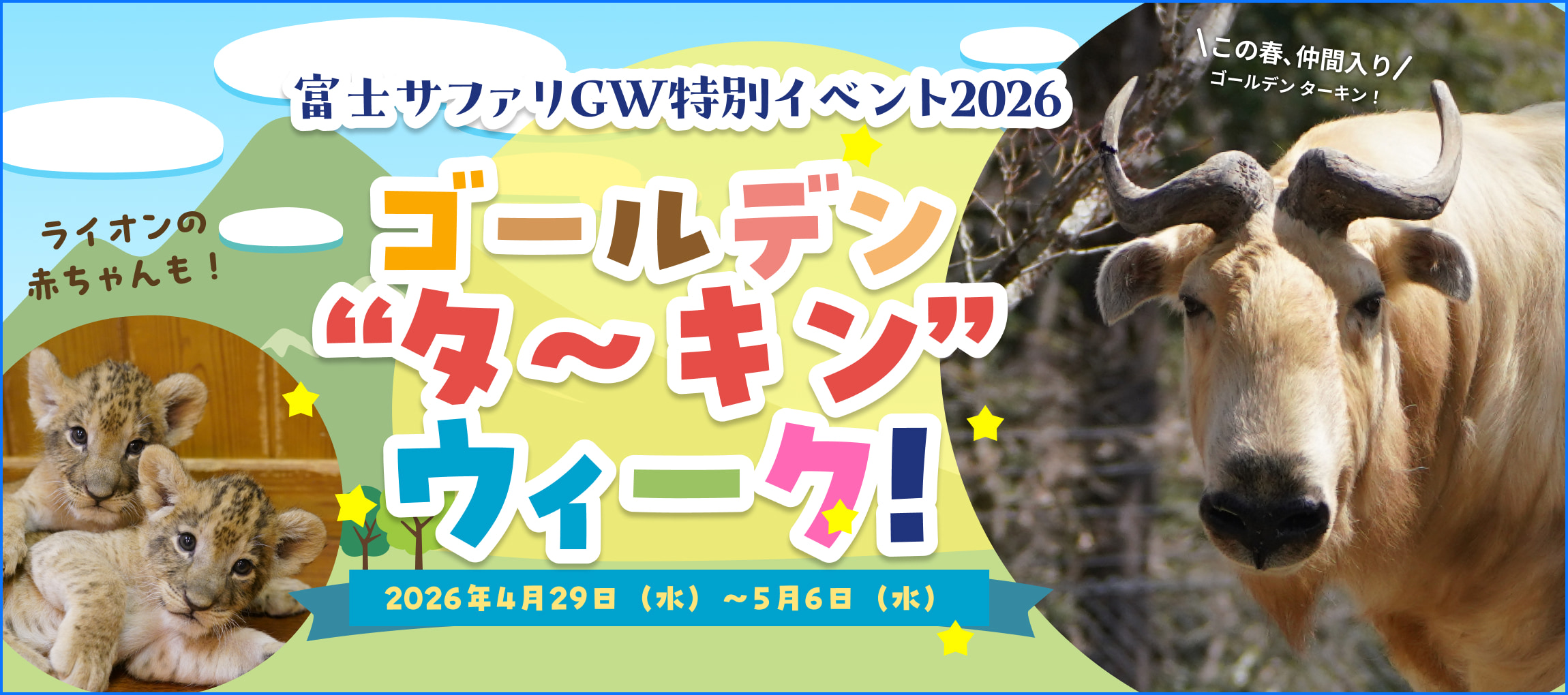 メインイメージ