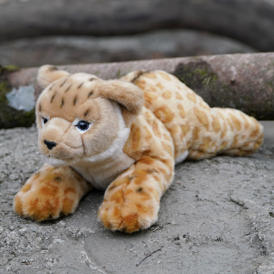 ライオンの赤ちゃん実物大