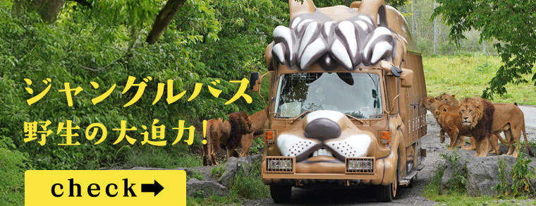 ジャングルバス 野生の大迫力！