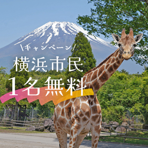 記事「横浜市民《1名無料》キャンペーン（6月1日～14日）」の画像
