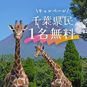 記事「千葉県民《1名無料》キャンペーン（6月15日～30日）」の画像