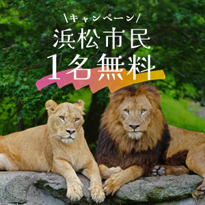 記事「浜松市民《1名無料》キャンペーン（7月1日～12日）」の画像