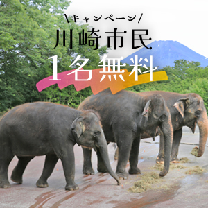 記事「川崎市民《1名無料》キャンペーン（7月1日～12日）」の画像