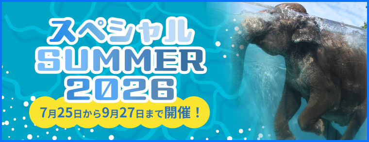 スペシャル SUMMER 2026　7月25日から9月27日まで開催！