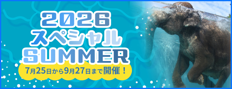 2026スペシャルSUMMER 2026年7月25日〜9月27日