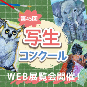 記事「【第45回】写生コンクールWEB展覧会・開催！」の画像