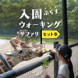 記事「お得な「入園＋ウォーキングサファリ」セットプラン！（7月18日から）」の画像