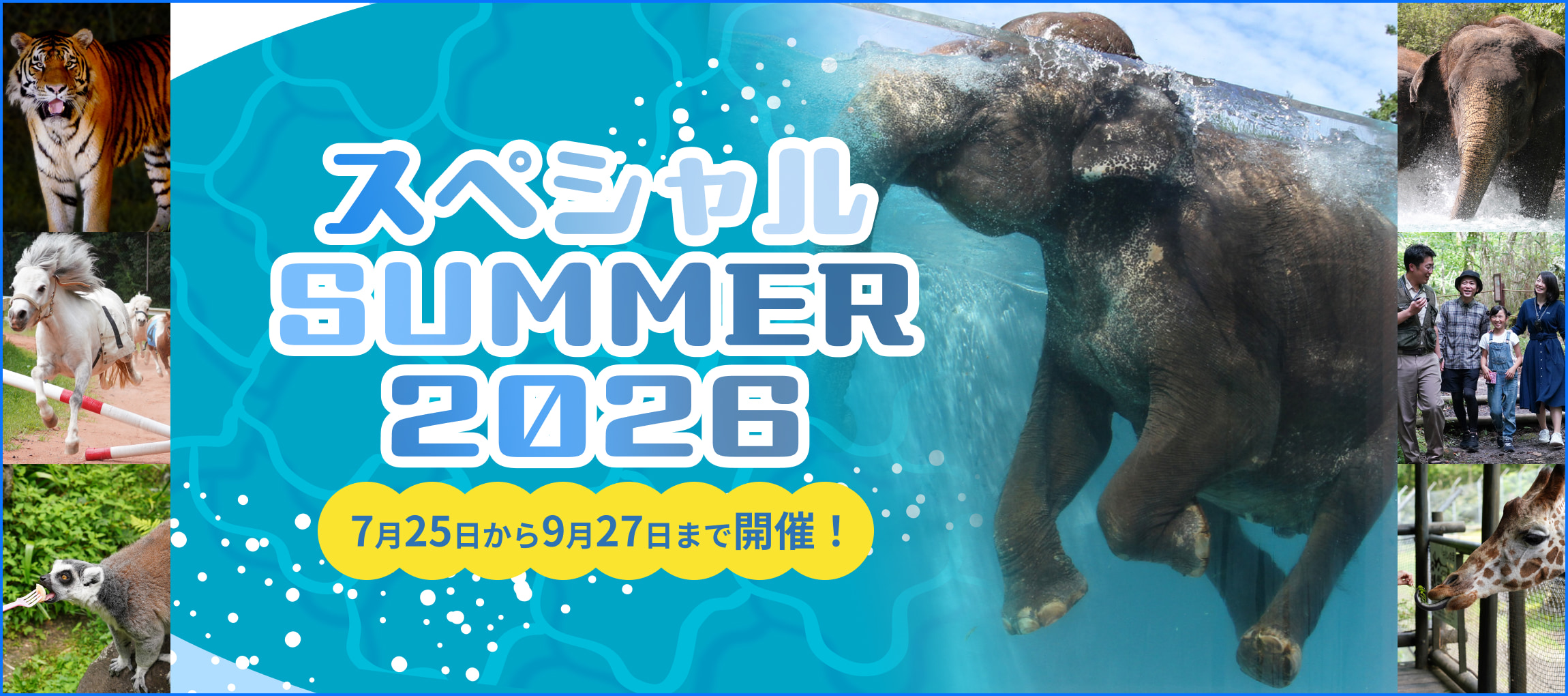 メインイメージ