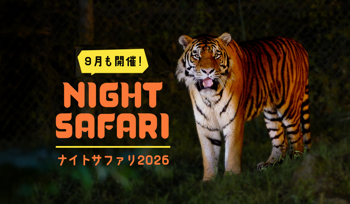 富士 サファリパーク ナイト サファリ