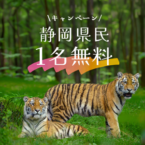記事「静岡県民の日・静岡県民《1名無料》キャンペーン(8月21日~23日)」の画像