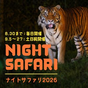 記事「ナイトサファリ、9月も開催決定!!」の画像