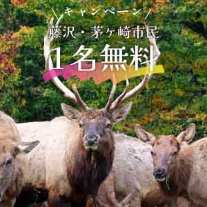 記事「藤沢市民・茅ヶ崎市民1名無料キャンペーン（10月1日～10月15日）」の画像