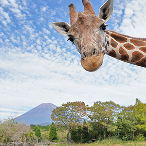 記事「入園受付時間のご案内(9月・10月)!」の画像