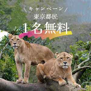 記事「東京都民・1名無料キャンペーン（10月1日～10月31日）」の画像
