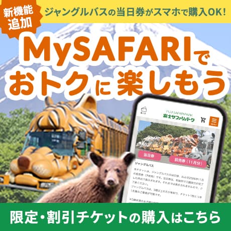 My SAFARI登録