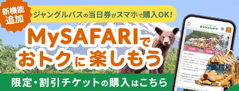 My SAFARI