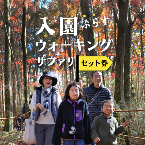 記事「お得な「入園+ウォーキングサファリ」セットプラン!(11月30日まで)」の画像