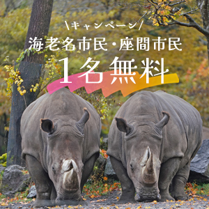 記事「海老名市民・座間市民1名無料キャンペーン(11月1日~11月15日)」の画像