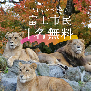 記事「富士市民1名無料キャンペーン(11月1日~11月15日)」の画像