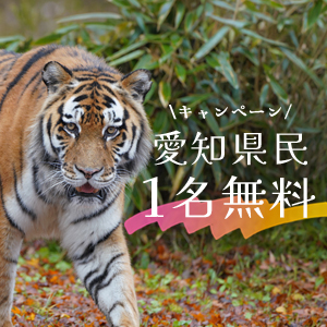 記事「愛知県民・1名無料キャンペーン(11月1日~11月30日)」の画像